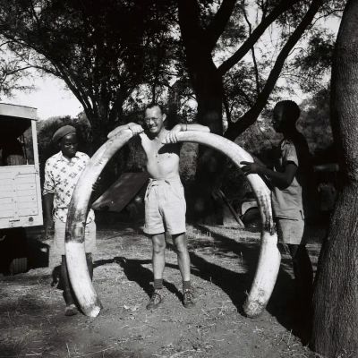 De prins met de slagtanden